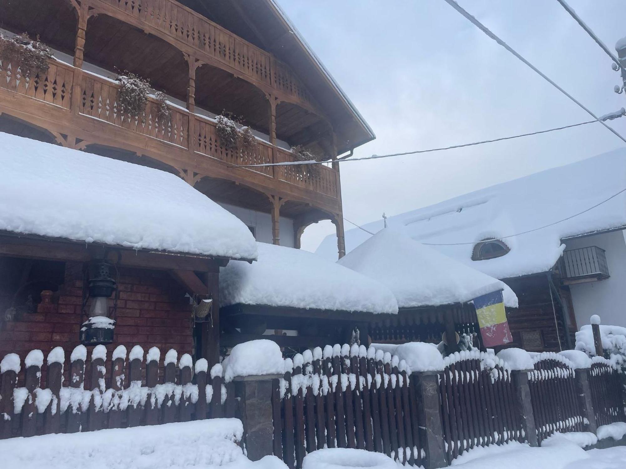 Casa Ionela Petreus Hotel Poienile Izei Bagian luar foto