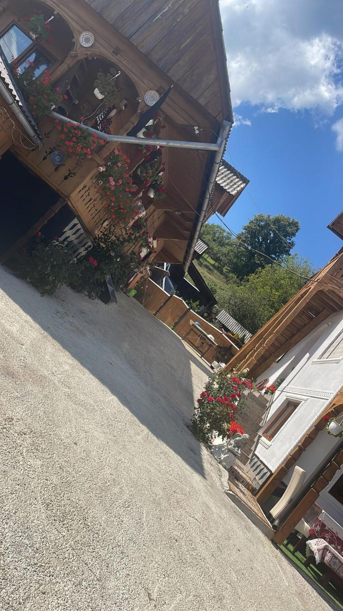 Casa Ionela Petreus Hotel Poienile Izei Bagian luar foto