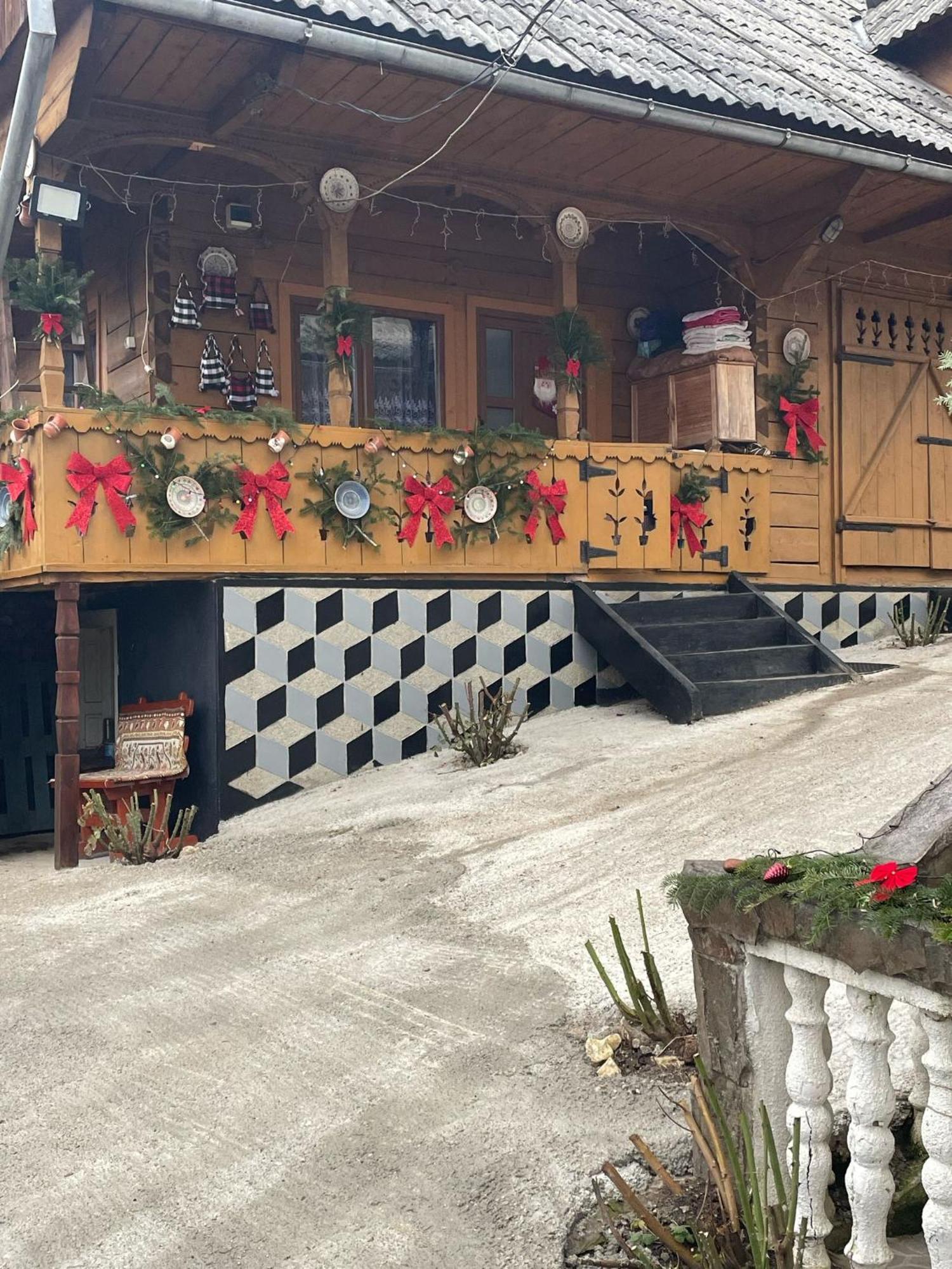 Casa Ionela Petreus Hotel Poienile Izei Bagian luar foto