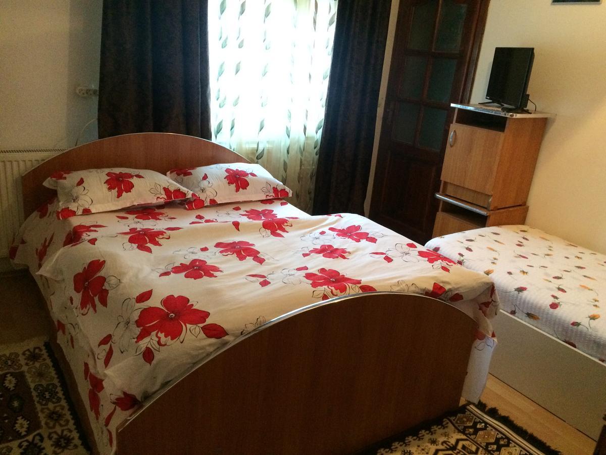 Casa Ionela Petreus Hotel Poienile Izei Bagian luar foto