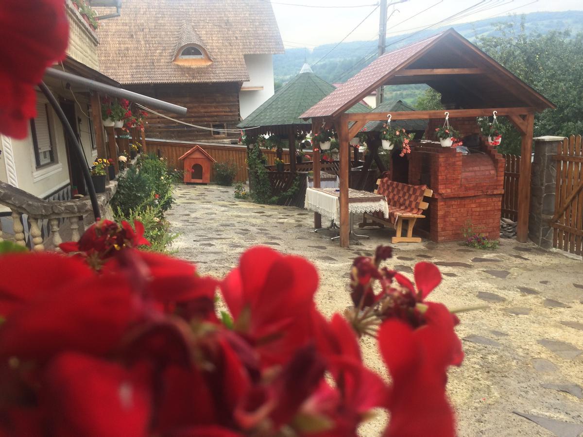 Casa Ionela Petreus Hotel Poienile Izei Bagian luar foto